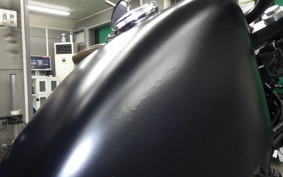 KAWASAKI 250TR 2025 BJ250F