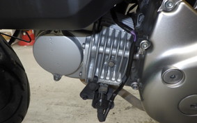 HONDA MONKEY 125 2001 JB02