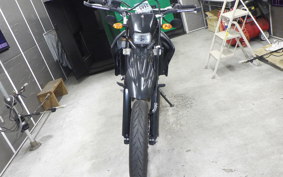 YAMAHA WR250X 2024 DG15J