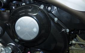 DUCATI SCRAMBLER ICON 2024