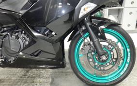 KAWASAKI NINJA 250 EX250P