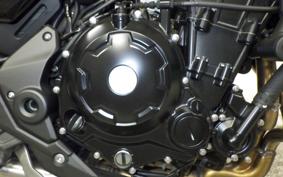 KAWASAKI Z650 RS 2024 ER650R