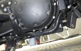 HARLEY XL883N 2017
