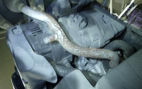 YAMAHA JOG Gen.5 SA36J