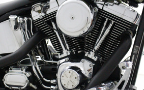 HARLEY FXSTS1340 2005 BLY