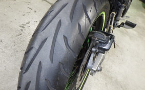 KAWASAKI KLX250D TRACKER X LX250V