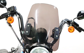 HARLEY XL1200NS 2019 LP3