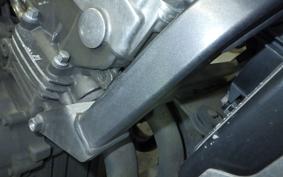 HONDA HORNET 250 2026 MC31