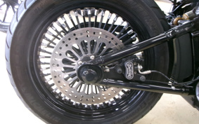 HARLEY FXBB 2019 YJJ