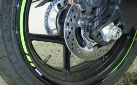 KAWASAKI NINJA ZX-6R A 2024 ZX636J