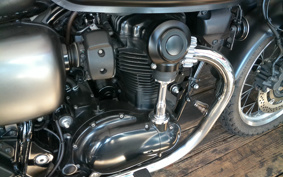 KAWASAKI W800 STREET 2019 EJ800B