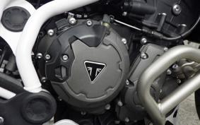 TRIUMPH TIGER 900 RALLY PRO 2022
