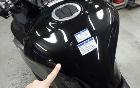 KAWASAKI NINJA 1000SX 2025 ZXT02K