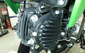 KAWASAKI Z125 PRO 2023 BR125H