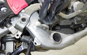 HONDA CRF250L 2019 MD44