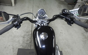 HARLEY L1200LI 2010