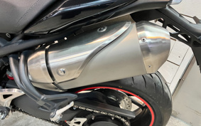 TRIUMPH SPEED TRIPLE 2013 TPN105