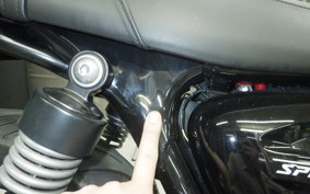 TRIUMPH SPEED TWIN 900 2023