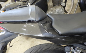KAWASAKI NINJA 250 EX250L