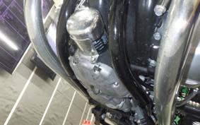KAWASAKI W800 2017 EJ800A