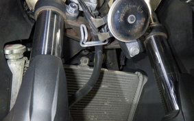YAMAHA YZF-R25 2007 RG10J