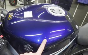 SUZUKI GSX-R1000 2006