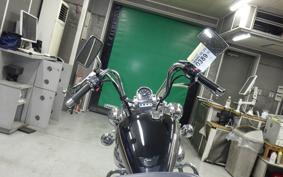 YAMAHA VIRAGO 250 3DM