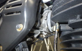 KAWASAKI 250TR 2021 BJ250F