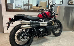 TRIUMPH SCRAMBLER 2022 DAD78G