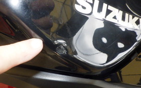 SUZUKI GSX250RA