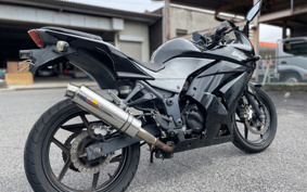 KAWASAKI NINJA 250R EX250K