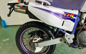 YAMAHA XSR900 2024 RN80J