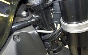 KAWASAKI Z900RS 2020 ZR900C