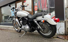 HARLEY XL1200C 2005 CGP