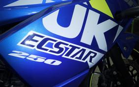 SUZUKI ｼﾞｸｻｰ250SF