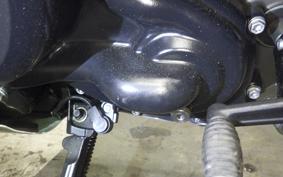 HARLEY ﾊﾟﾝ AMERICA1250S 2022