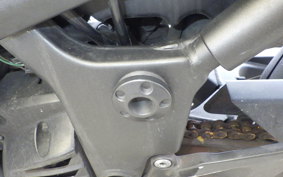 KAWASAKI NINJA 250R EX250K