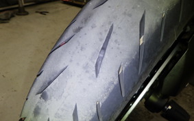 KAWASAKI NINJA 1000 SX 2024 ZXT02K