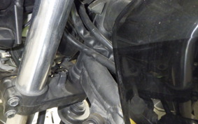 KAWASAKI ZRX1200 D 2009 ZRT20D