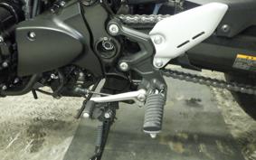 KAWASAKI Z900RS 2021 ZR900C