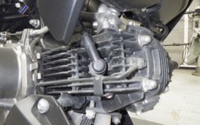 KAWASAKI Z125 PRO 2021 BR125H