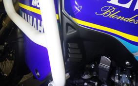 YAMAHA TENERE 700 2020 DM09J