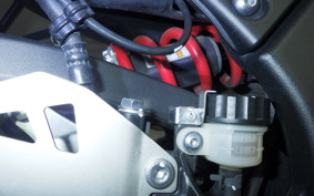 KAWASAKI ZX 10 NINJA R 2015