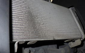 YAMAHA YZF-R25 2007 RG10J