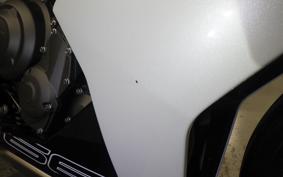 TRIUMPH DAYTONA 660 2024