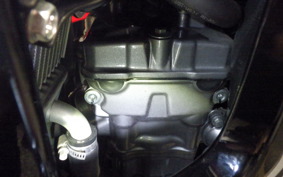 HONDA CRF250 RALLY 2002 MD44