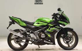 KAWASAKI NINJA150RR