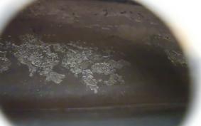 TRIUMPH STREET SCRAMBLER 2019