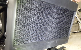 HONDA REBEL 250 A 2023 MC49