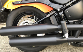 HARLEY FXBBS 2021 YYK